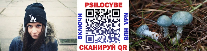 Псилоцибиновые грибы мицелий  Надым 